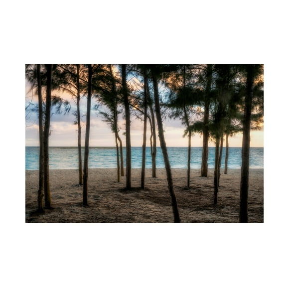 Dennis Frates 'Sunrise 1' Canvas Art