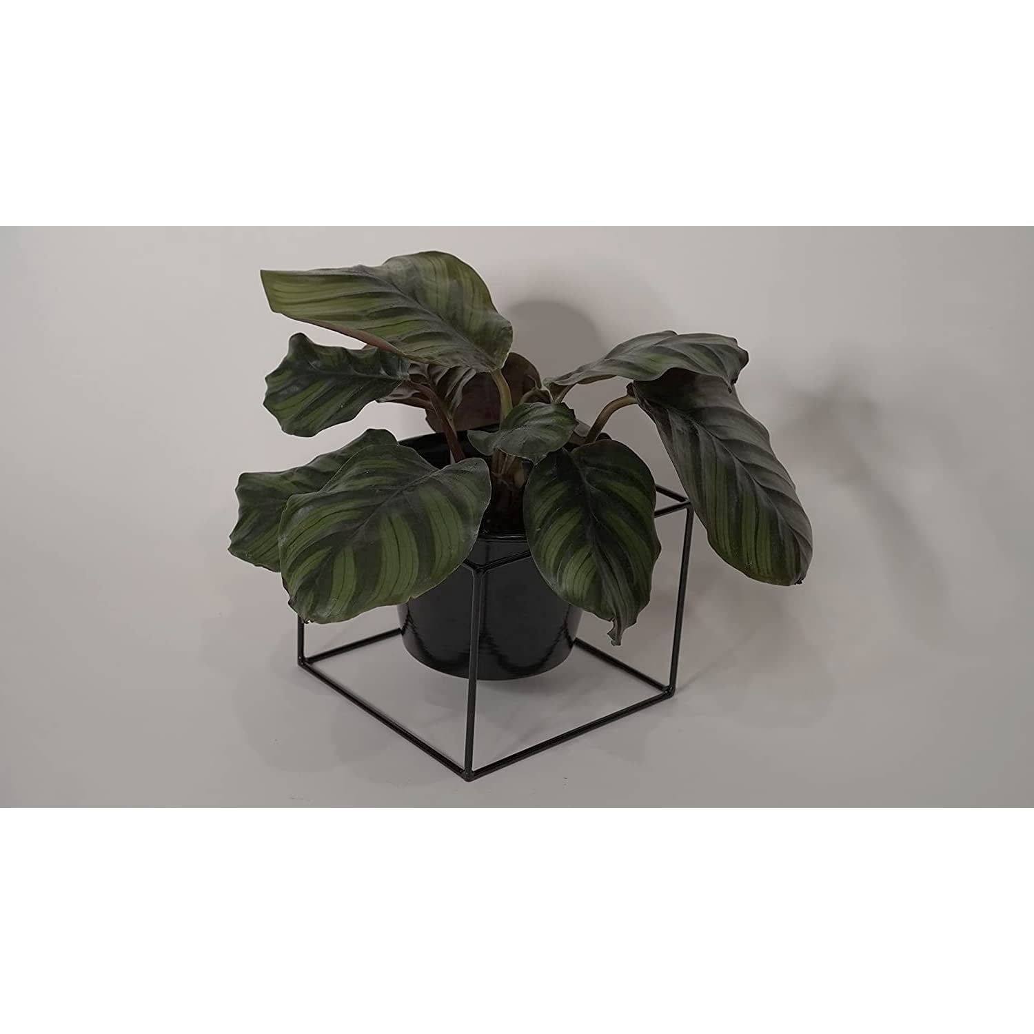 Metal Square 6" Home Garden Flower Plant Holder Removable Pot Stand Black