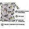 thumbnail image 4 of 5 Pack Cloth Diaper Wet Dry Bag Washable Reusable Wet Bag, 4 of 5
