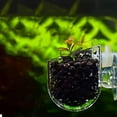 thumbnail image 5 of Flower Pots Transparent Acrylic Aquatic Pot Aquarium Planter Holder With Suction Cups Stylish Decoration for Fish Tank Oval Design, 5 of 6