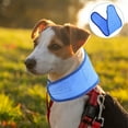 thumbnail image 1 of unbranded Collar De Enfriamiento Para Perros Con Refrescante Para Uso Diario Y, 1 of 8