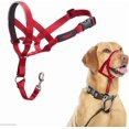 thumbnail image 1 of Halti Nylon Padded No Pull Dog Headcollar, Red, Size 3, 1 of 5