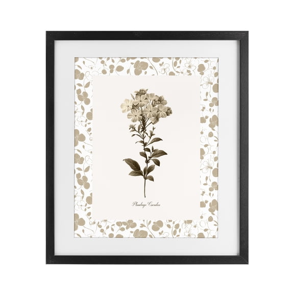 Stupell Industries Neutral Imperial Botanical Black Framed Print Under Glass, design by Kelly Donovan