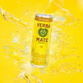 thumbnail image 4 of Guayakí Yerba Mate, Organic Sparkling Classic Gold, 80mg Natural Plant Based Caffeine, Smooth Energy & Focus, Carbonated, 12 Oz (Pack of 12), 4 of 5
