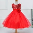 thumbnail image 2 of Jamsmile Toddler Girls Sequin Mesh Tulle Party Dress Children Girls Sleeveless Chiffon Performance Pageant Prom Gown Formal Dress, 2 of 4