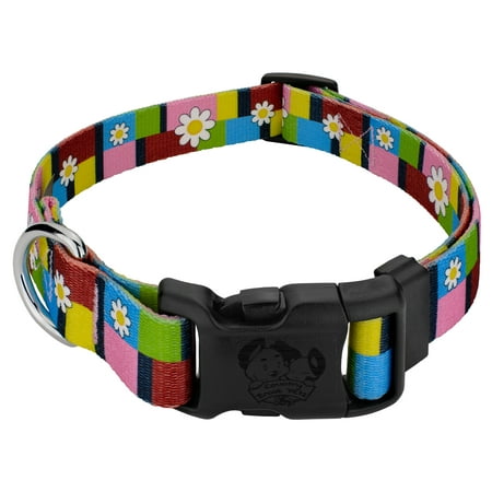 Country Brook Petz® Spring Daisies Everyday Dog Collar -Made in The USA, Medium
