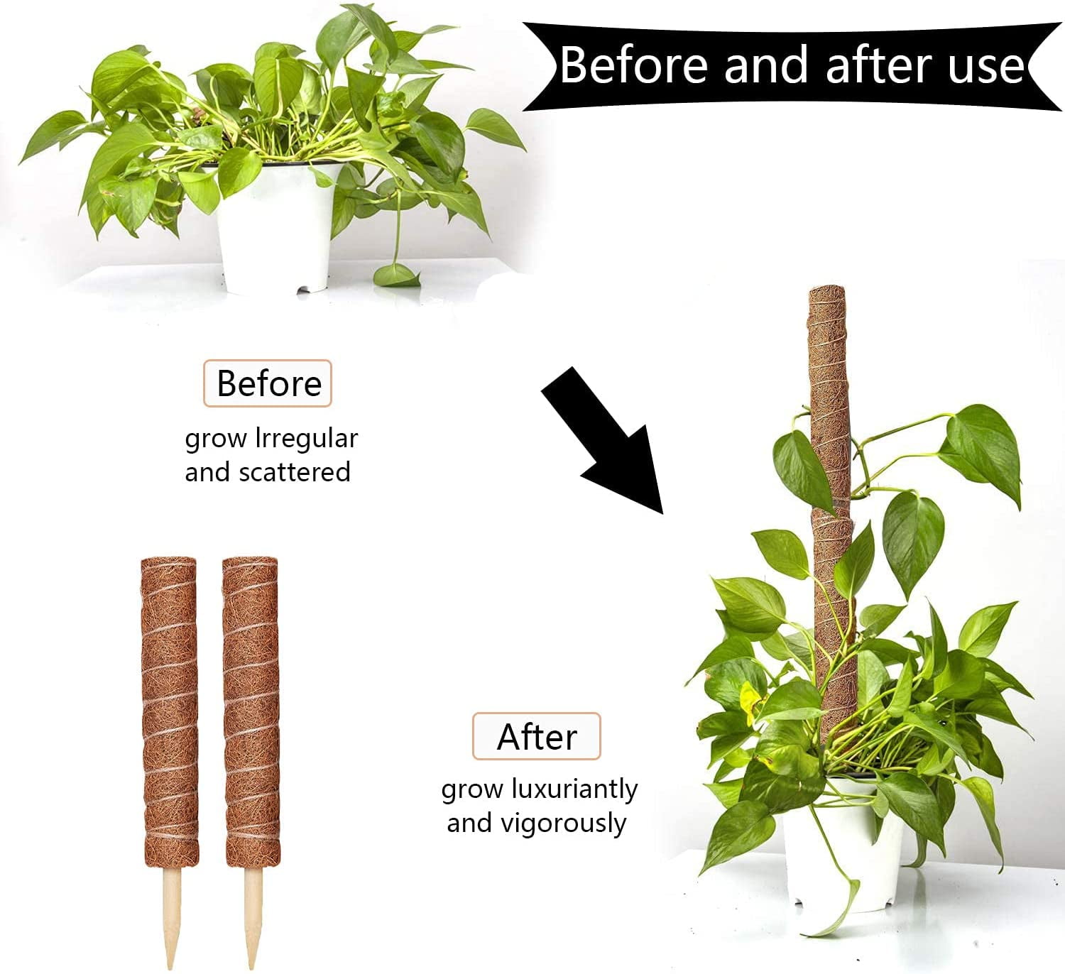【Fumiti】21-22 MOSS STICK【70 SW Amazon.com : 4 Pack 22 Inch Moss Poles, Stackable Moss Pole