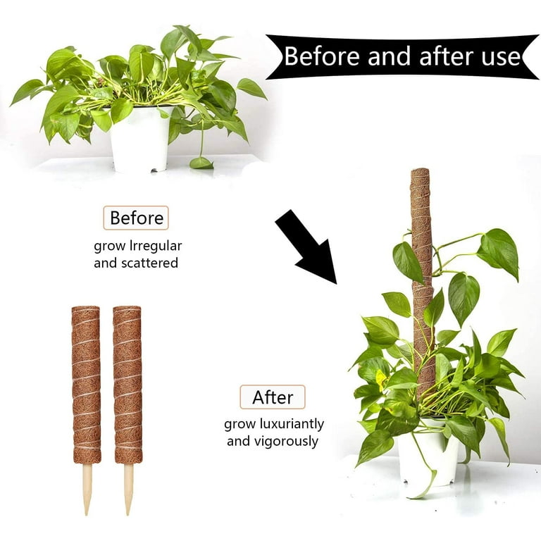 Moss Pole - Moss Plant Sticks - Triani 4 Moss Stick for Potted Plants -  15.7Inch Plant Twist Tie - Coir Pole - Moss Stick - for Deliciosa Pothos  Creepers Plant Support Upward Extension - Brown 