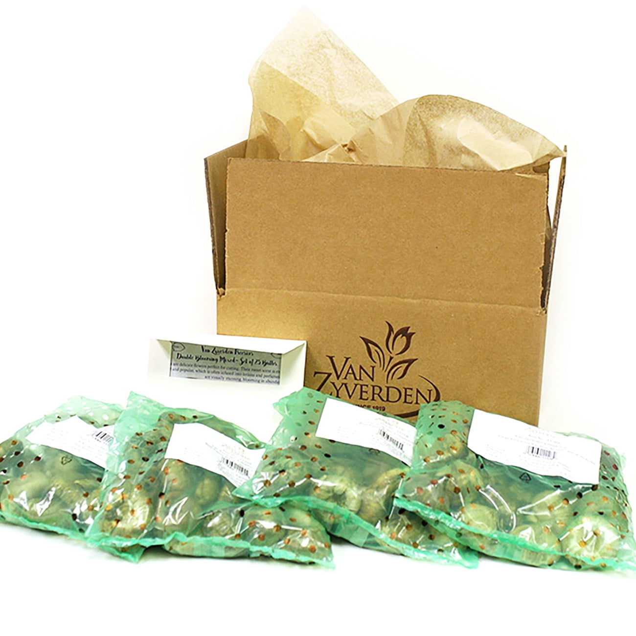 Van Zyverden Daffodils Dutch Master 100 Bulbs Yellow Partial Sun Perennial Deer Resistant 12 lbs