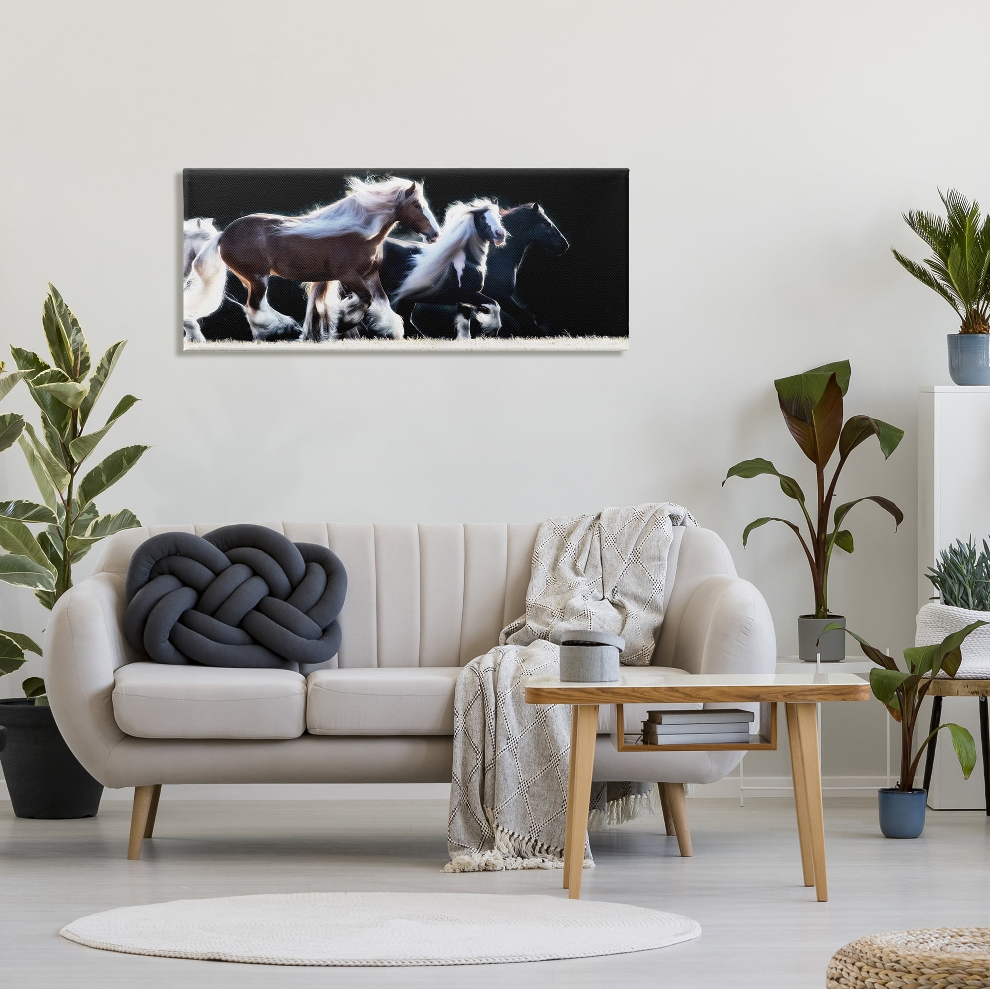 Stupell Industries Colt Horse Stampede Country Field Modern Equestrian Photography, 48 x 20,Design by PHBurchett