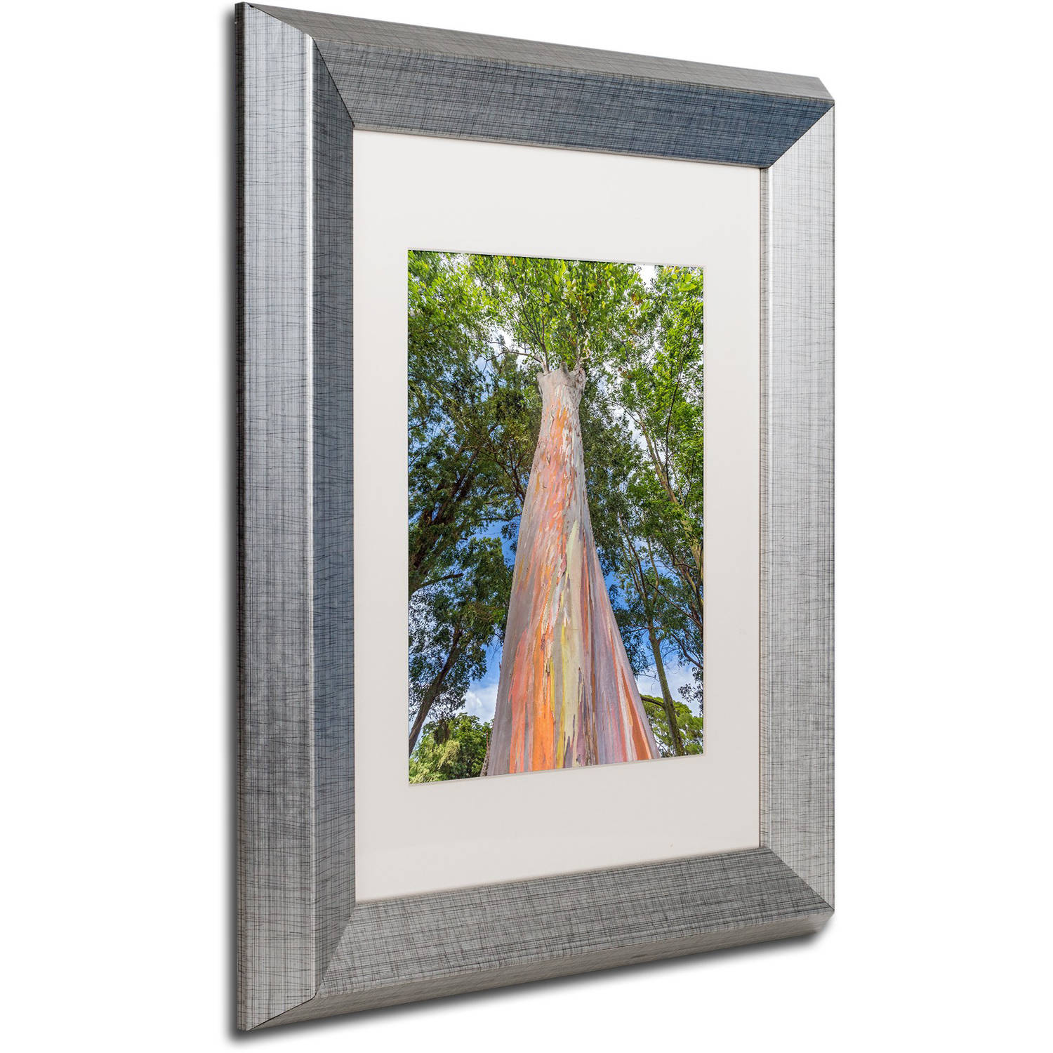 Trademark Fine Art 'Rainbow Tree' Canvas Art by Pierre Leclerc, White Matte, Silver Frame