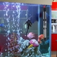 thumbnail image 3 of Aquarium Heaters, 25W Submersible Heater Immersion Heater Thermostat, 3 of 5