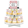Little Lady Lady Bug Edible Photo Toppers & Edible Cupcake Decoration Kit