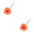 thumbnail image 4 of Maytalsory Realistic Appearance Non-toxic Cats Dogs Safe Home Decor For Lovers Odorless Silk Wide Application Low Maintenance Sunset 2Set, 4 of 6