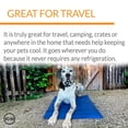 thumbnail image 6 of K&H Pet Products Coolin' Pet Pad Blue Medium 20 X 15 Inches, 6 of 9