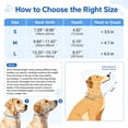 thumbnail image 3 of Dog Recovery Collar, Soft Cones for Dogs after Surgery, Dog Cone Collar for Wound Healing & Anti-Licking, Blue-Green, 3 of 7