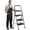 Black, variant on LevLad 3 Step Ladder with Tool Tray, 3 Step Stool with Safety Lock, Non-Skid Wide Steps, Household Folding Ladder for Home, Garden, Painting, Outdoor, Garage, Black