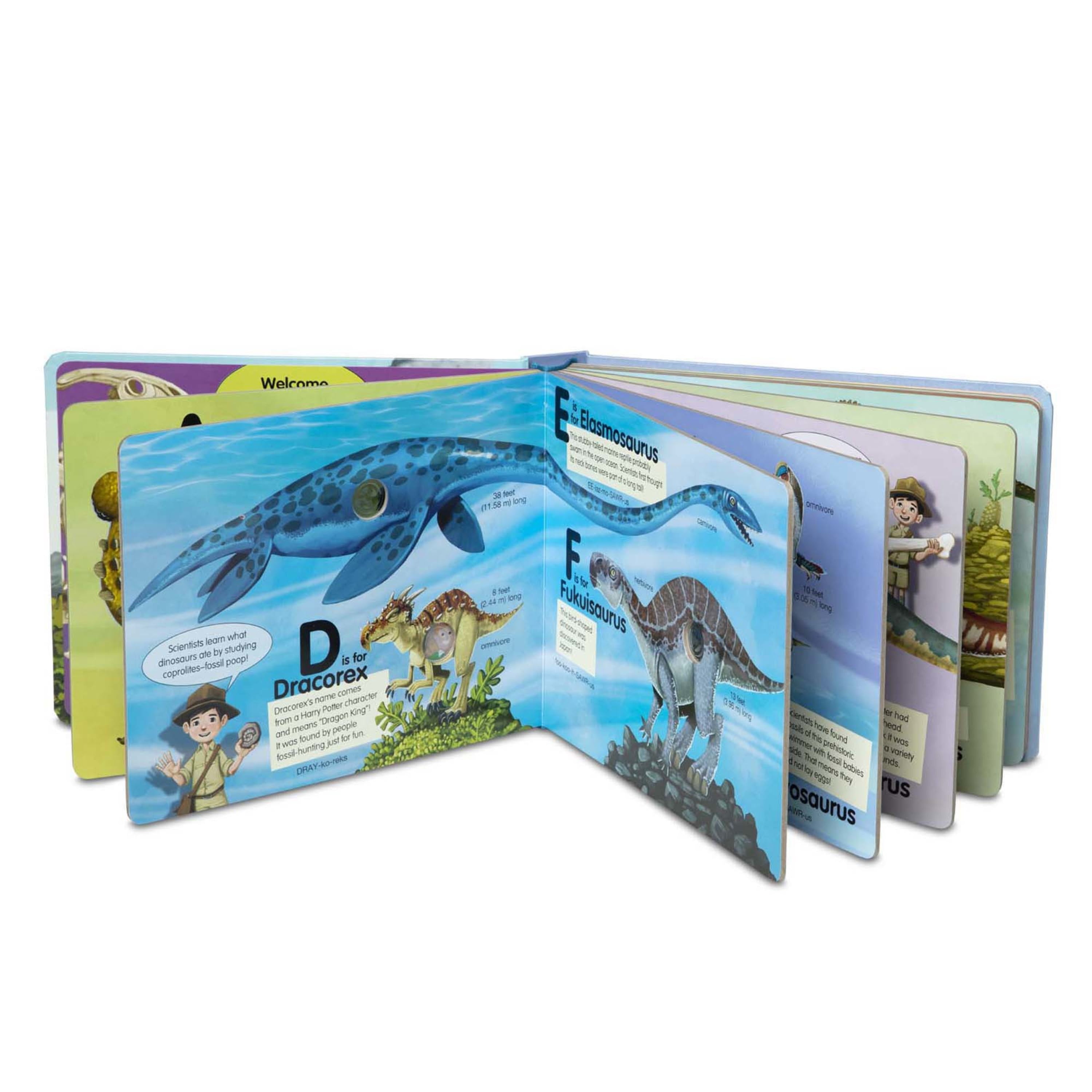 Pocket Book Of Dinosaurs - Illustrated Guide To The Dinosaur
