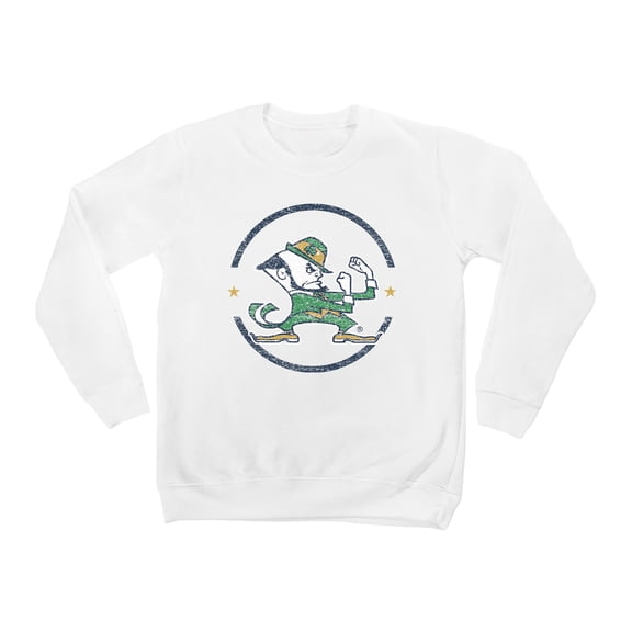 Youth White Notre Dame Fighting Irish End Zone Pullover Sweatshirt