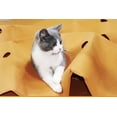 thumbnail image 2 of Tapis de Jeu Interactif pour Animaux, Tapis d'Activité Respirant Résistant aux Rayures pour Chat et Chien, Design Unique de Pétale, Feutre Doux et Épais pour Roulement Libre, Entraînement, 2 of 5