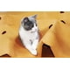 thumbnail image 2 of -Laberinto para gatos, tapete de juego para mascotas, tapete de entrenamiento para arena para gatos de 120 x 90 cm, 2 of 5
