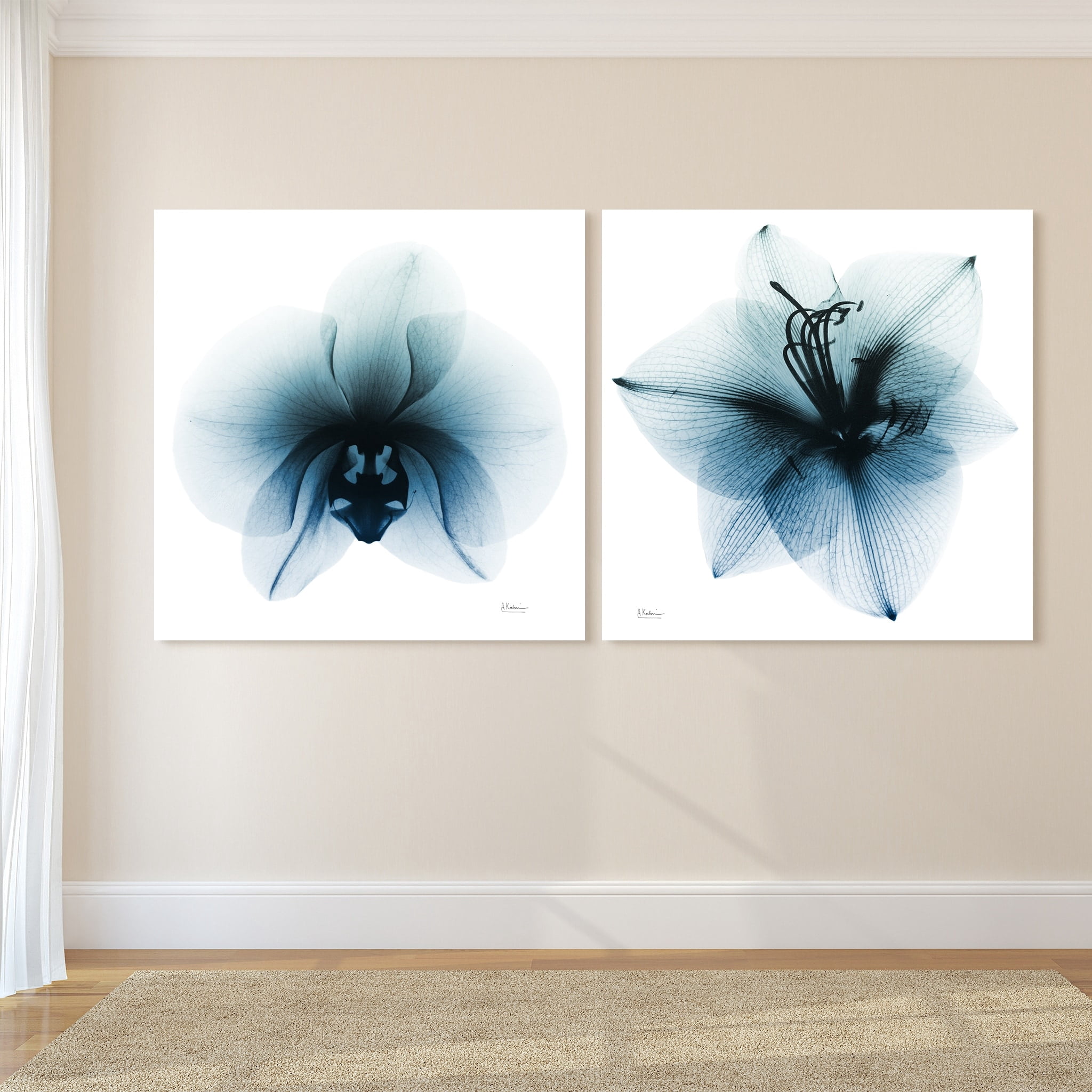 Orchid & Amaryllis 38 in x 38.00" Painting Art Prints, by Empire Art Set of 2