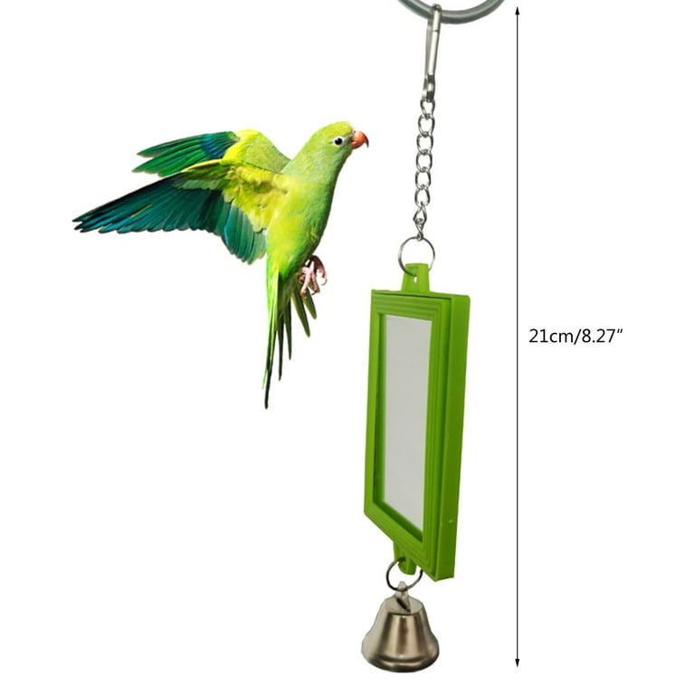 Bird top mirror toy