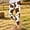 C, variant on Girls' Leggings Kids Cow Print Workout Running Yoga Pants Ankle Length Dance Tights Soft Stretch,Size 5