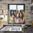 thumbnail image 6 of GZHJMY 36 Inch Length Kitchen Curtains Old Russian Dog 2 Panels Half Window Sheer Curtains Rod Pocket Farmhouse Short Drapes for Bathroom Cafe Basement Home Decor, 6 of 7