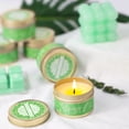 thumbnail image 6 of SCENTORINI Citronella Scented Candles, Natural Lemongrass Soy Wax for Indoor Outdoor (6 Pack), 6 of 7