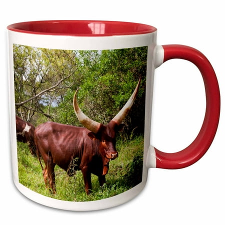 

3dRose Ankole-Watusi cattle. Mbarara Ankole Uganda. - Two Tone Red Mug 11-ounce