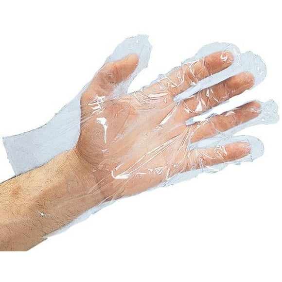 Food Service Gloves