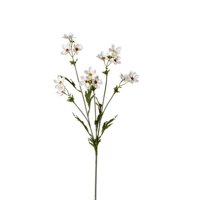 Floral Mini Cosmos Spray 27"
