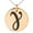 Rose, variant on Stainless Steel Euler-Mascheroni Mathematical Engraved Small Medallion Circle Charm Pendant Necklace