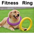 thumbnail image 3 of Anillo de fitness para perros, equipo de ejercicio de agilidad para perros, anillo de entrenamiento interactivo de tira y afloja para perros pequeños y grandes, 3 of 5