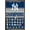 Bronze Framed Version, variant on MLB New York Yankees - Champions 23 Wall Poster, 14.725" x 22.375"