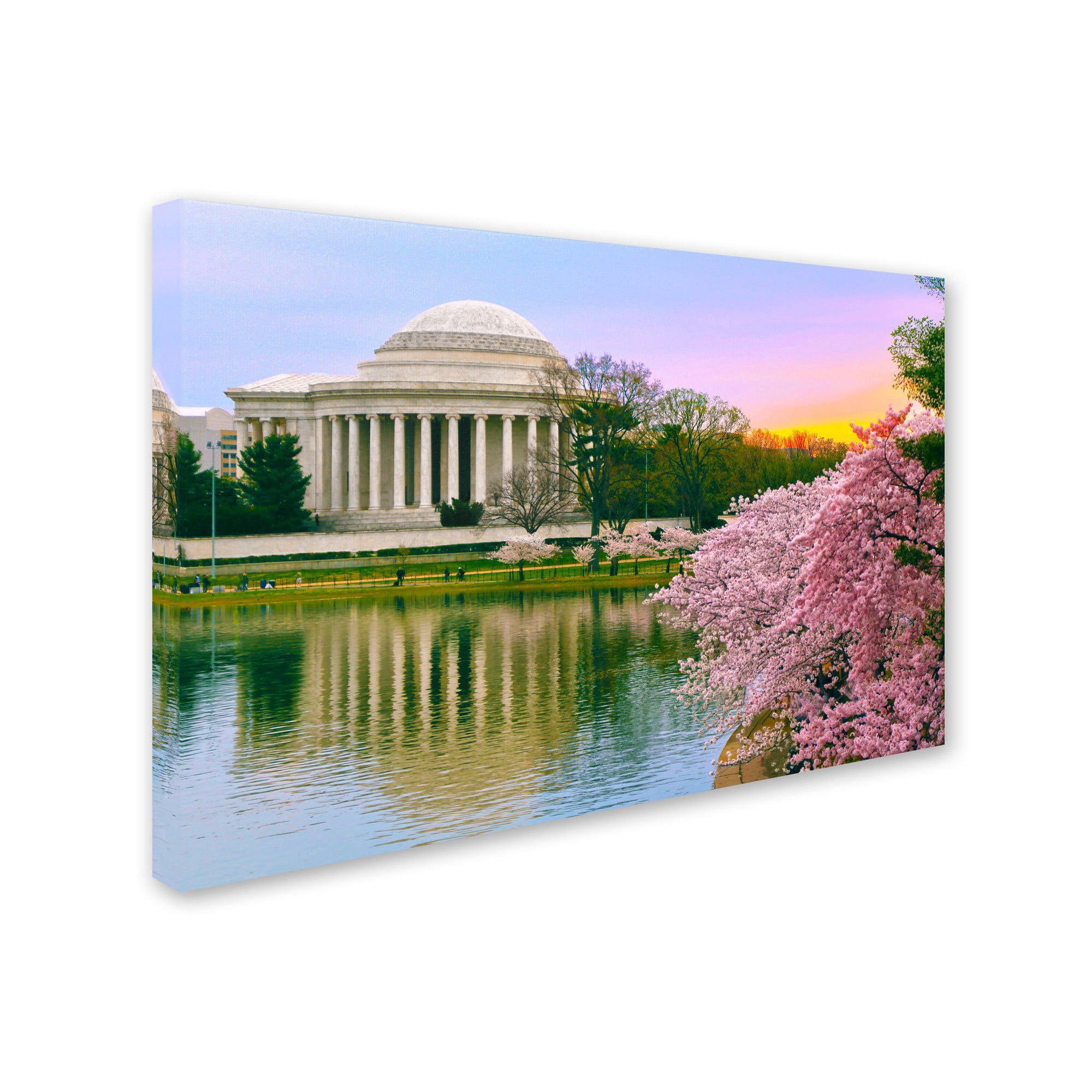 Trademark Fine Art "Cherry Blossoms 2014-6" Canvas Art by CATeyes