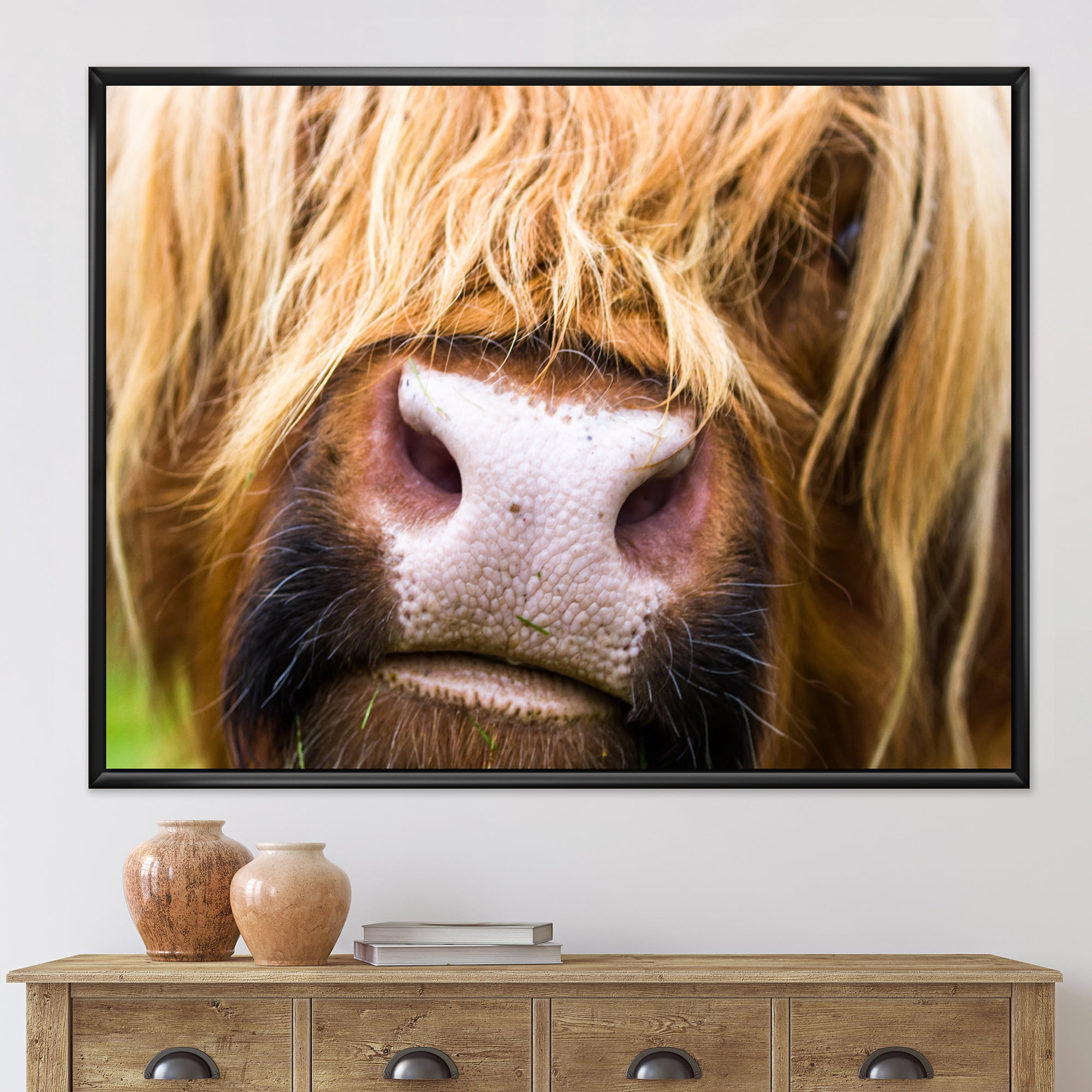 Close-Up Highland Cattle 20 in x 12 in Framed Photography Canvas Art Print, by Designart
