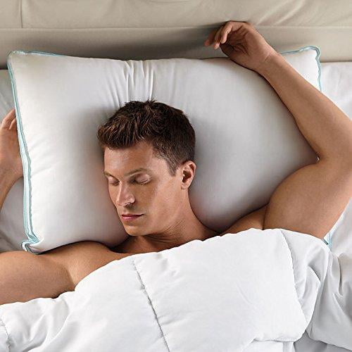 Sleeper Pillow Brookstone Charcoal Pillow Brookstone Biosense