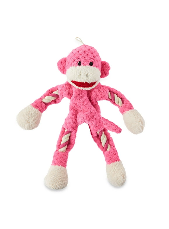 Vibrant Life Dog Toys in Vibrant Life Pet Supplies