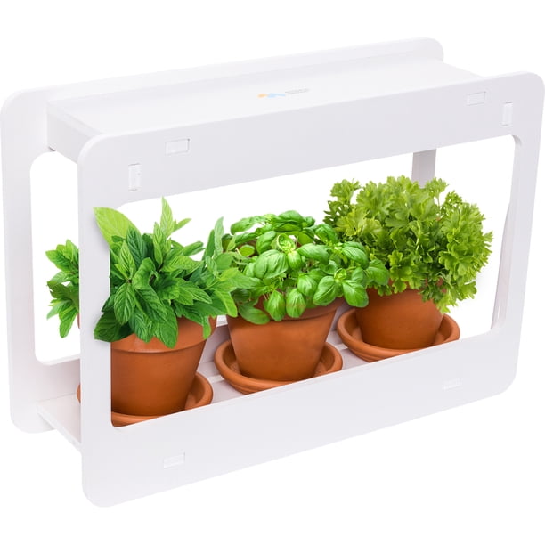 Led Indoor Herb Garden - At Home Mini Window Planter Kit For Herbs Succulents And Vegetables By Mindful Design White - Walmartcom