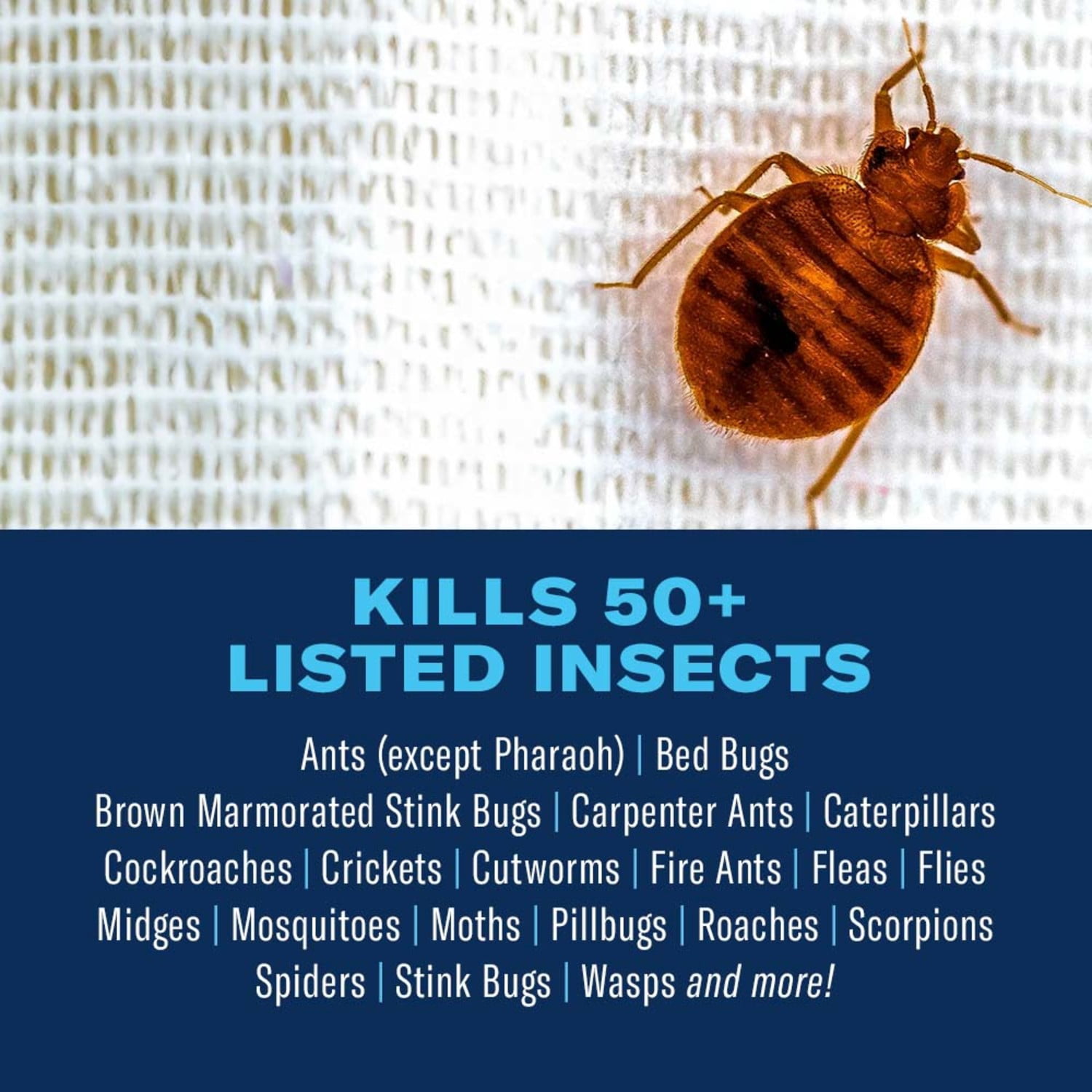 BioAdvanced Home Pest Insect Killer, Continuous Spray, 15.7 oz (2-Pack)