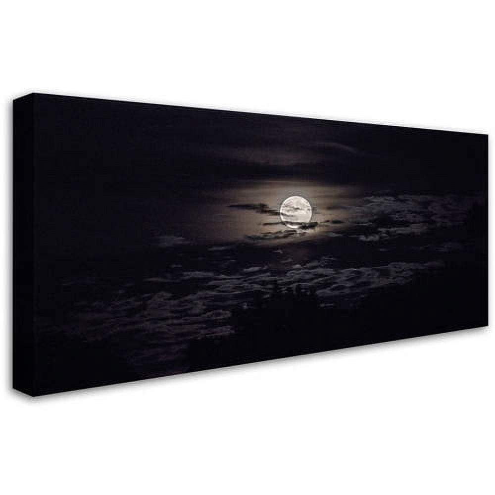 Trademark Fine Art "Full Moon in Aquarius" Canvas Art by Kurt Shaffer