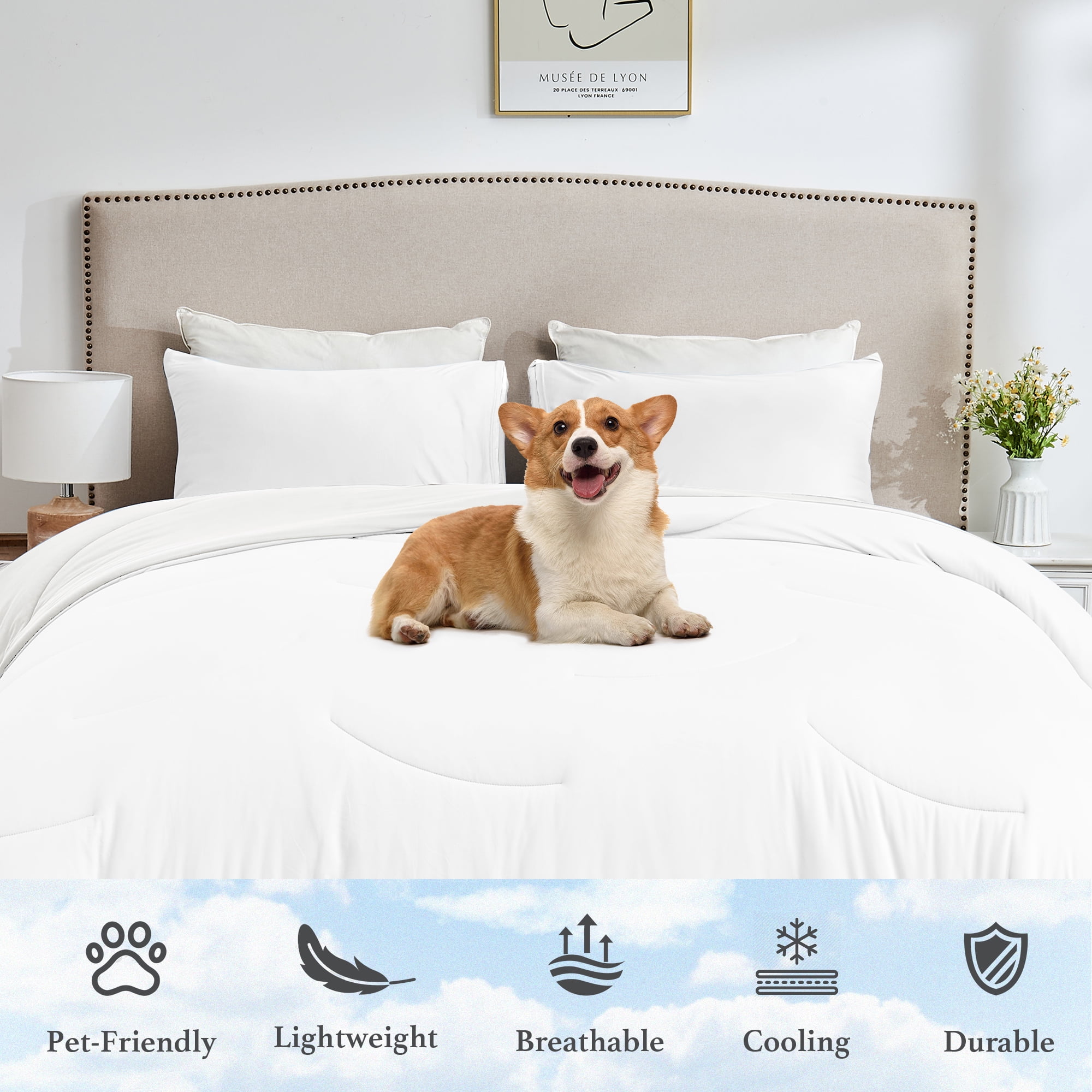 HOMTEC Reversible 3-Piece Comforter Set, All Season Double-Sided Comforter with 2 Pillowcases, Full/Queen Size, White