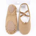 thumbnail image 1 of Zapatos de Ballet para niñas, zapatillas de baile de Ballet de suela blanda de lona, zapatos de bailarina de práctica para niños, zapatos de baile para mujer Tan Jianjun unisex, 1 of 2