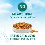 Purina ONE LiveClear Allergen-Reducing Dry Cat Food Formula with Real Chicken as the Number One Ingredient, 6.3 lb. Bag