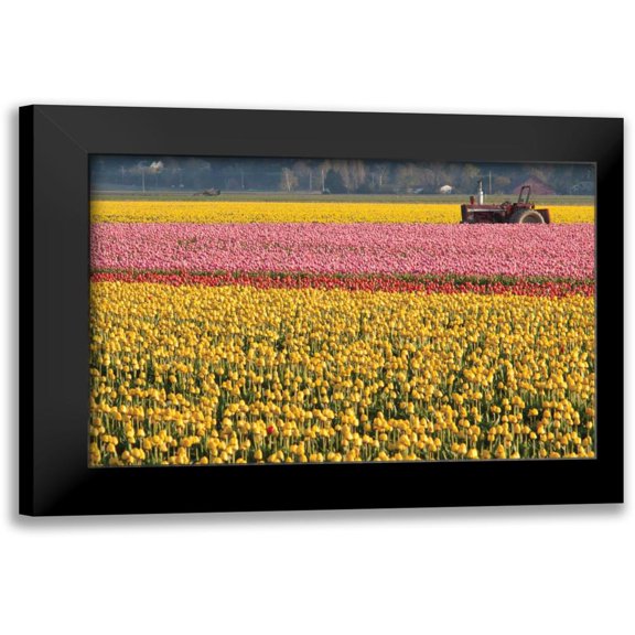 Styber, Dana 14x11 Black Modern Framed Museum Art Print Titled - Tractor and Tulips I