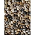 thumbnail image 1 of Exotic Pebbles Sac de Gravier Mélangé Poli & Granulats PM20-0510 20 Lb, 1 of 1