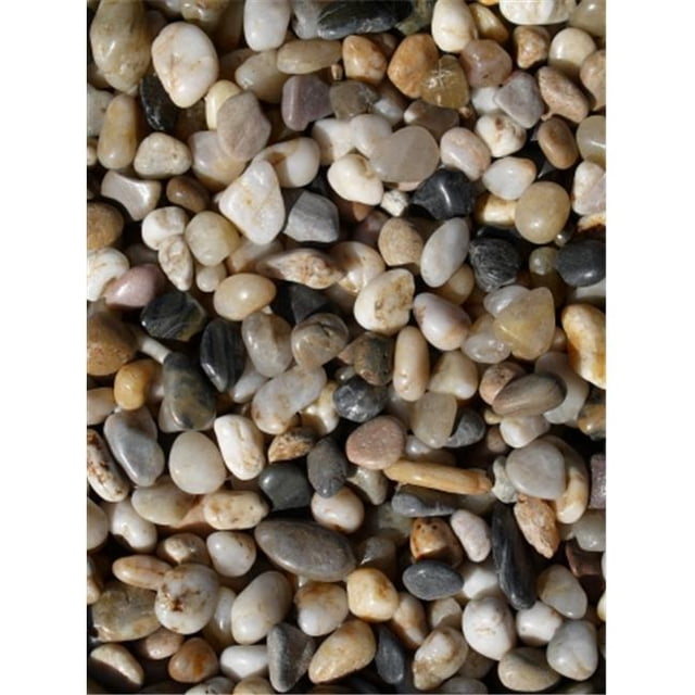 Exotic Pebbles Sac de Gravier Mélangé Poli & Granulats PM20-0510 20 Lb