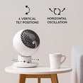 thumbnail image 3 of AiEr Woozoo 5-Speed Remote Control Oscillating Globe Fan, 3 of 3